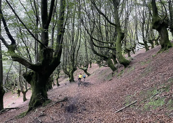 公寓 Olazabal Azpikoa Axpe de Busturia