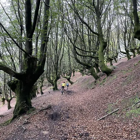 Lägenhet Olazabal Azpikoa Axpe de Busturia